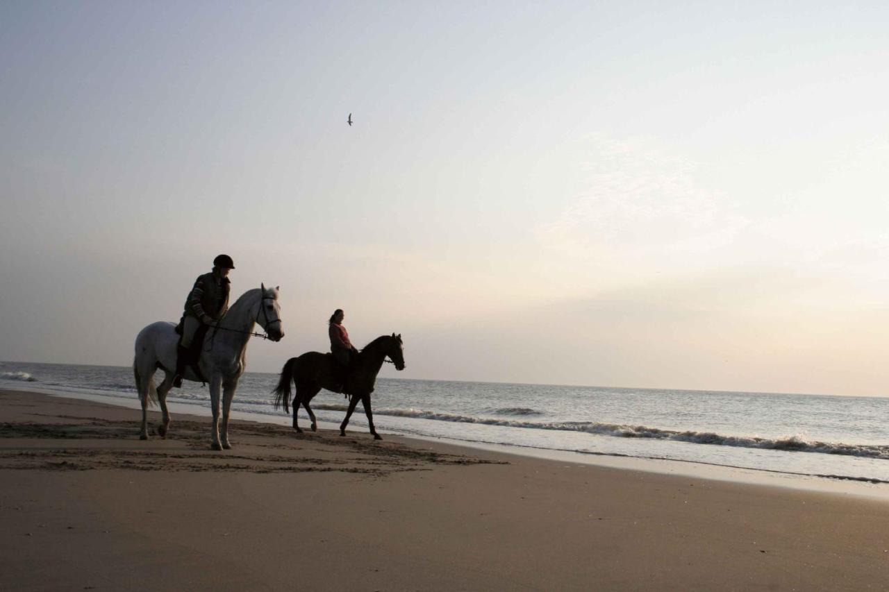 Finca Noordwijk Downtown Noordwijk Dış mekan fotoğraf